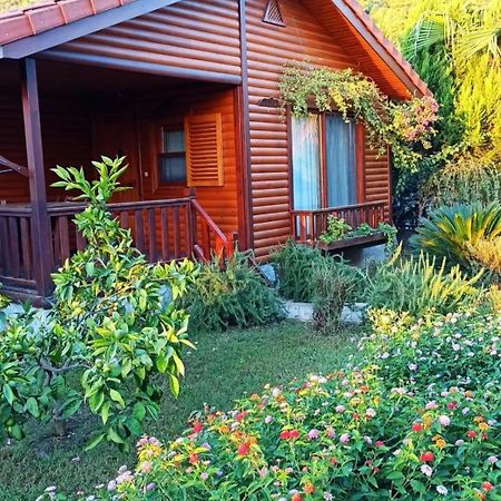 Leontopolis Apart Otel Çıralı 외부 사진